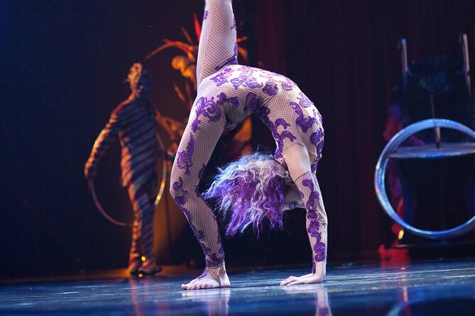 Kooza by Cirque du Soleil: Under the Big Top in Seattle, WA - Is the $850 price good value?