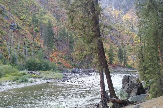 Luxury Leavenworth Day Trip through the Cascade Mountains - What the guide adds to the day