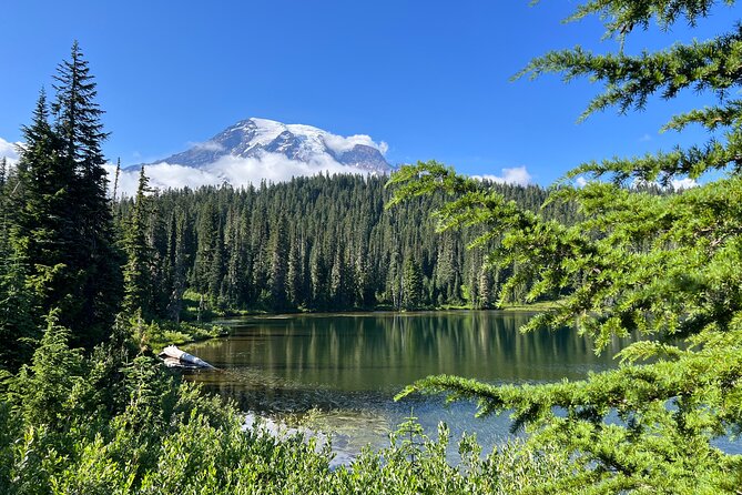 Mount Rainier Customized Tour from Seattle - Why this Mount Rainier day trip works