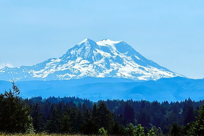 Mount Rainier Customized Tour from Seattle - Christine Falls pairs water with architecture
