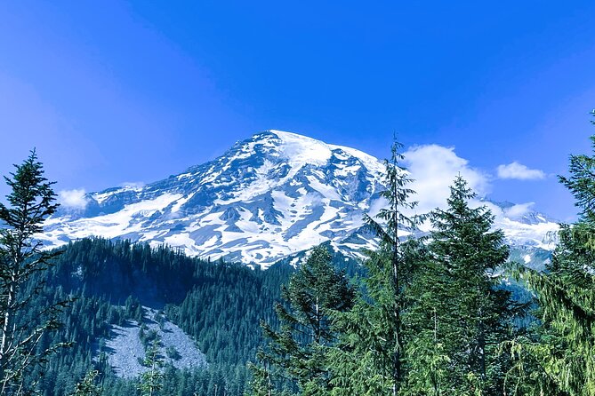 Mount Rainier Customized Tour from Seattle - Narada Falls is the strongest waterfall stop