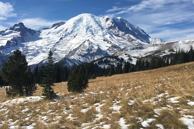 Mount Rainier Day Hike - What the guide adds to the day
