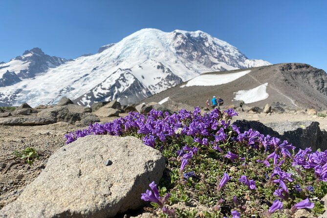 Mount Rainier Day Hike - Is $289 a good value?