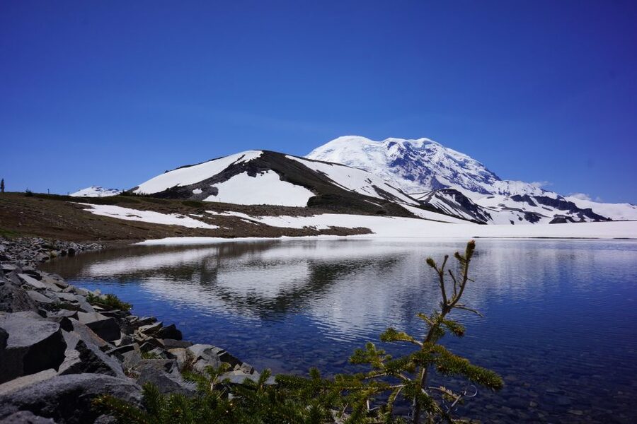 Mount Rainier: Day Hike on the Mountain - The early Seattle pickup and long mountain drive
