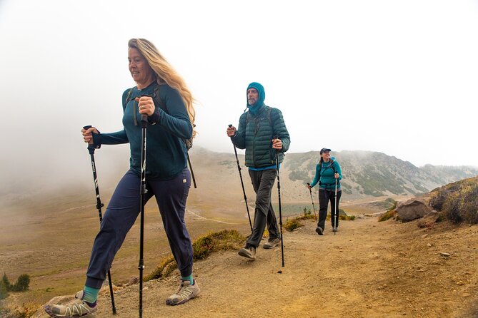 Mount Rainier Full Day Private Tour and Hike - Narada Falls adds a short, worthwhile stop