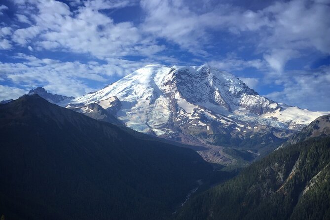 Mount Rainier Full Day Private Tour and Hike - What the guides add to the day