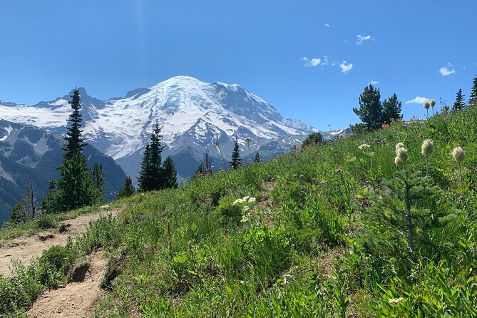 Mount Rainier Full Day Private Tour and Hike - Sunrise and the mountain’s volcanic power