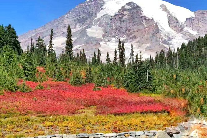 Mount Rainier National Park Day Tour from Seattle - Narada Falls requires more care than the schedule suggests