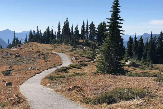 Mount Rainier National Park Day Tour from Seattle - Reflection Lakes and the best mirror effect