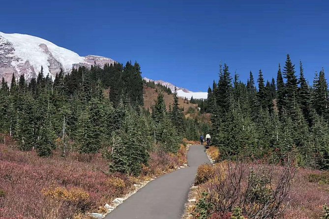 Mount Rainier National Park Day Tour from Seattle - Longmire Museum, a useful first stop