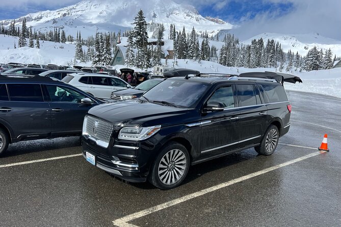 Mount Rainier Private Full Day — Sprinter Van or SUV - Family comfort, mobility, and group fit