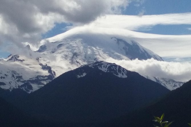 Mount Rainier Tour from Seattle - A private nine-hour escape from Seattle