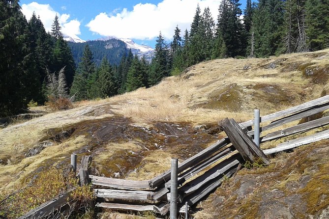 Mount Rainier Tour from Seattle - Waterfalls, forest paths, and a dozen chances to stop