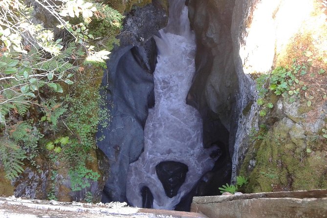 Mount Rainier Tour from Seattle - Guides Cheryl, Janet, and Scott