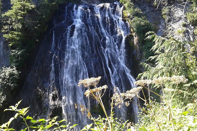 Mount Rainier Tour from Seattle - Weather, walking, and what to bring
