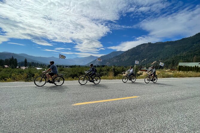 Mountain View E-Bike Experience - Key points at a glance