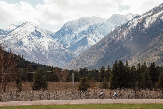 Mountain View E-Bike Experience - Private touring and the value of the $125 price