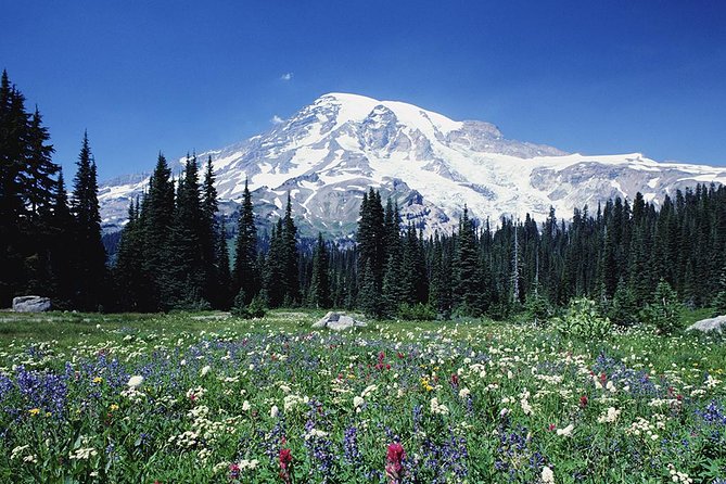 Mt. Rainier Day Tour from Seattle - Why this Seattle day trip works
