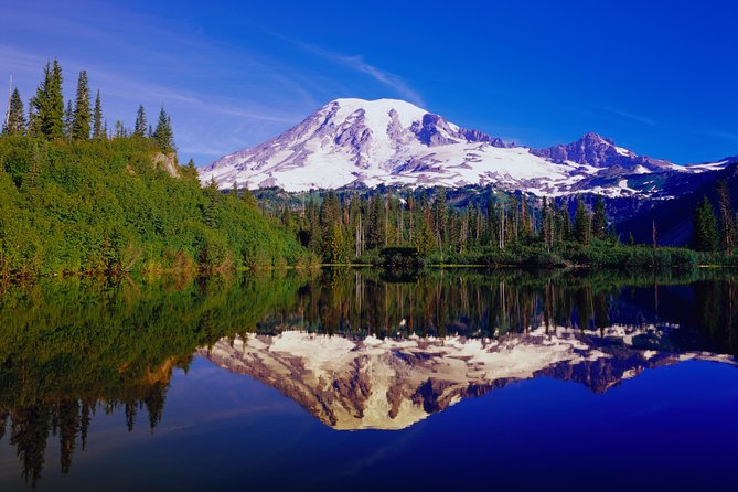 Mt. Rainier Day Tour from Seattle - Paradise and the Henry M. Jackson Visitor Center
