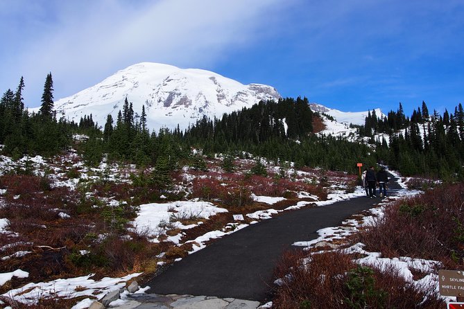 Mt. Rainier Day Tour from Seattle - Twin Firs and the old-growth forest