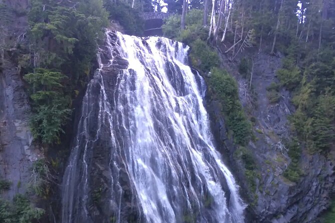 Mt. Rainier highlights - old forest, falls and glaciers - Old-growth trees near Longmire
