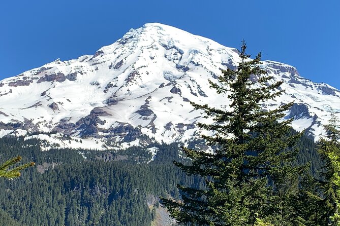 Mt. Rainier highlights - old forest, falls and glaciers - How the small-group setup affects the day