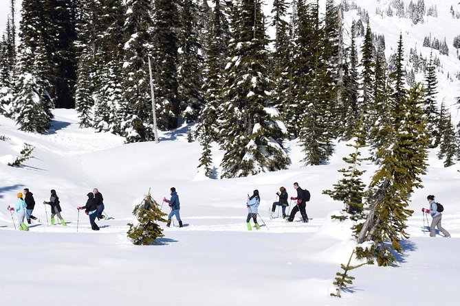 Mt. Rainier National Park Highlights Tour - The early pickup and scenic ride from Seattle