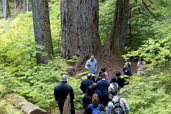 Mt. Rainier National Park Highlights Tour - Paradise is worth the wait, but visibility rules the day