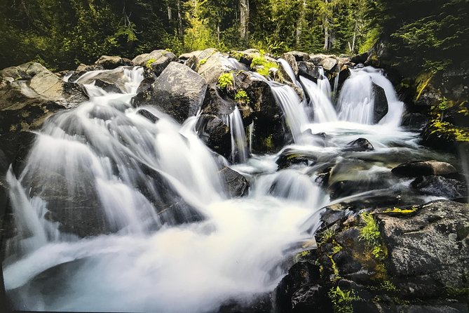 Mt. Rainier National Park Highlights Tour - The guides shape the experience