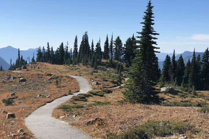 Mt Rainier National Park Small Group Day Tour from Seattle 2CanGo - Key points to know before booking