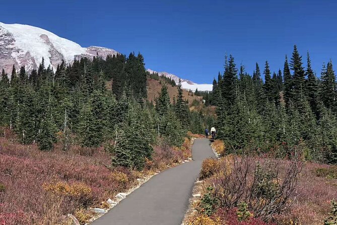 Mt Rainier National Park Small Group Day Tour from Seattle 2CanGo - Paradise is the main event in summer