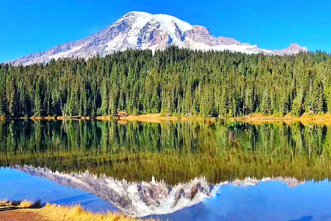 Mt Rainier National Park Small Group Day Tour from Seattle 2CanGo - Guides make the largest difference