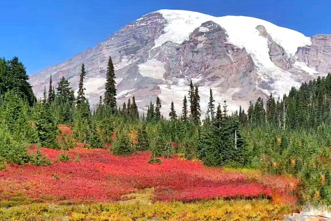 Mt Rainier National Park Small Group Day Tour from Seattle 2CanGo - Lunch, rest stops, and the real value of $148