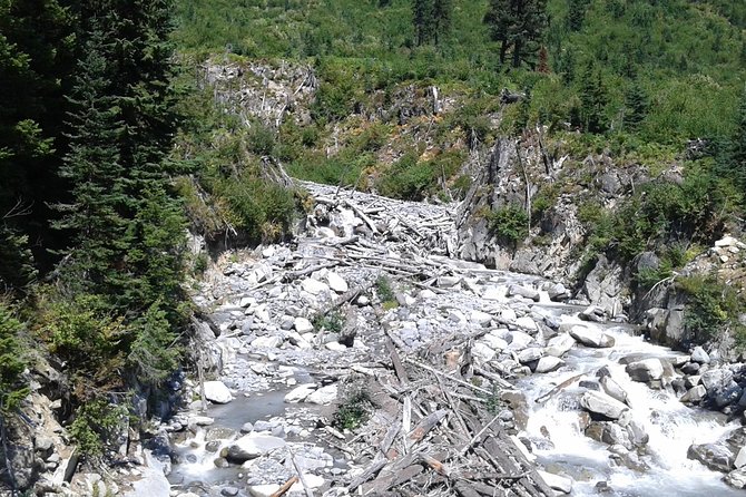 Mt Rainier Private Tour Experience in SUV - The comfort of a private SUV