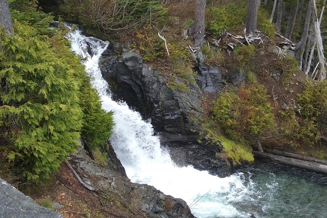 Mt Rainier Private Tour Experience in SUV - Lunch, snacks, and the day’s practical rhythm