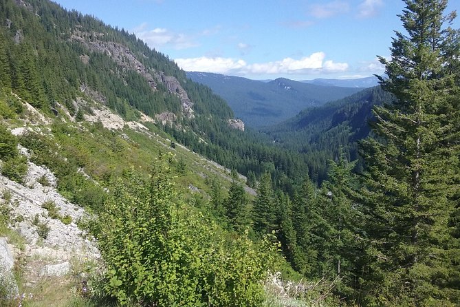 Mt Rainier Private Tour Experience in SUV - Who should choose this Mount Rainier tour?