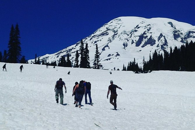 Mt Rainier Private Tour Experience in SUV - What can affect your mountain views?