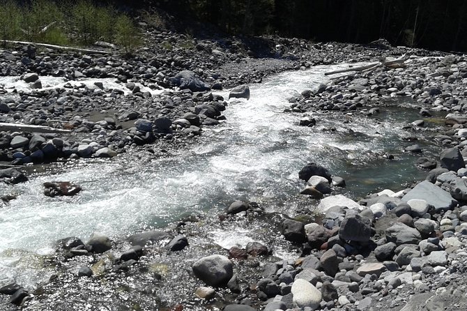 Mt Rainier Private Tour Experience in SUV - Guides who shape the day