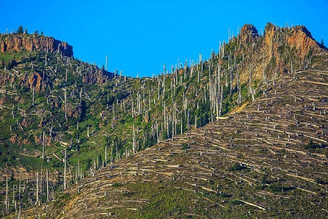 Mt. St. Helens National Monument from Seattle: All-Inclusive Small-Group Tour - Coldwater Lake and the changed waterways