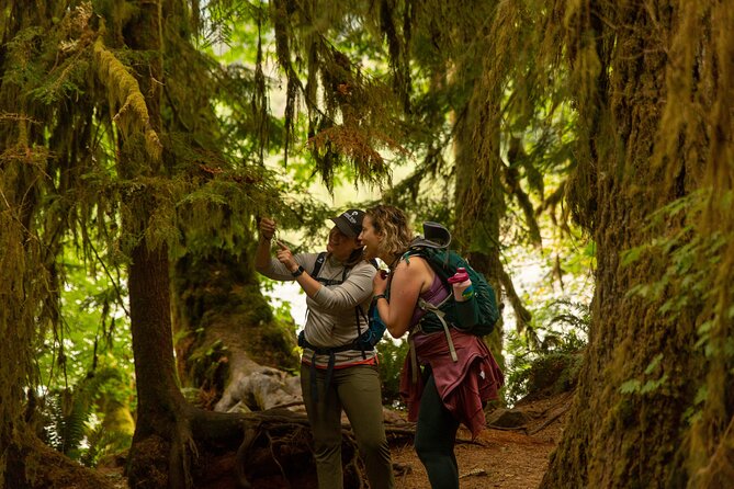 Olympic Full Day Private Tour & Hike - Three hours under the moss in Hoh Rainforest