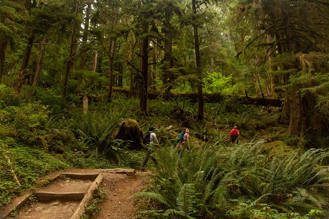 Olympic Full Day Private Tour & Hike - Ruby Beach tide pools at the right hour