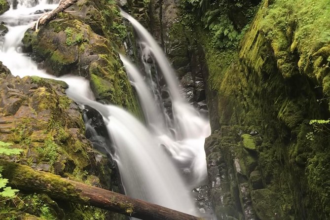 Olympic National Park Day Tour from Seattle - Key things to know before booking