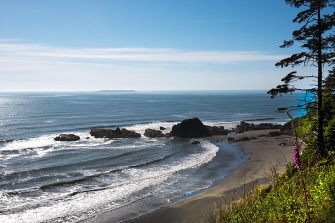 Olympic National Park Day Tour from Seattle - Beaches, tide pools, and the Dungeness alternative