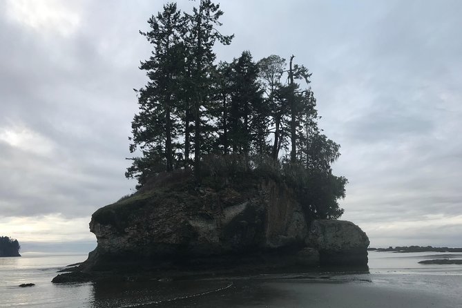 Olympic National Park Day Tour from Seattle - Lake Crescent and Marymere Falls