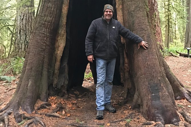 Olympic National Park Day Tour from Seattle - Sol Duc Falls and the optional forest route