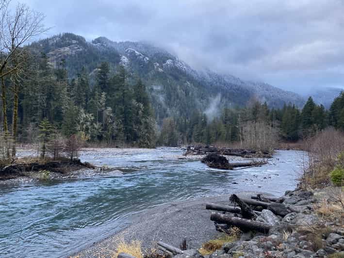Olympic National Park: Half-Day Tour - Why this four-hour tour works