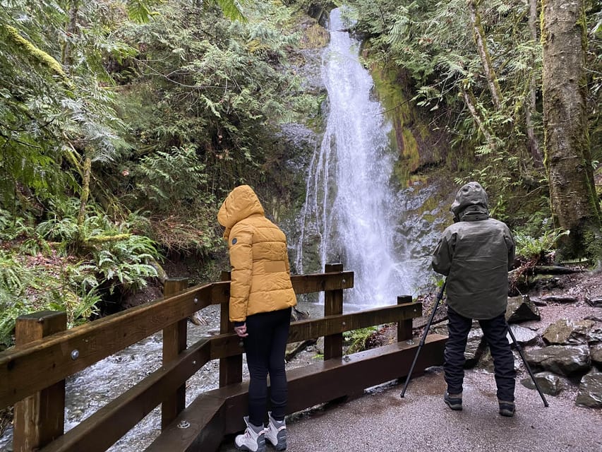 Olympic National Park: Half-Day Tour - The Elwha Valley and Madison Creek Falls