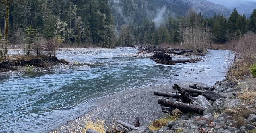 Olympic National Park: Half-Day Tour - Lake Crescent Lodge and the shoreline