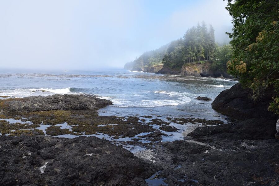 Olympic National Park: Half-Day Tour - Is $110 a fair price?