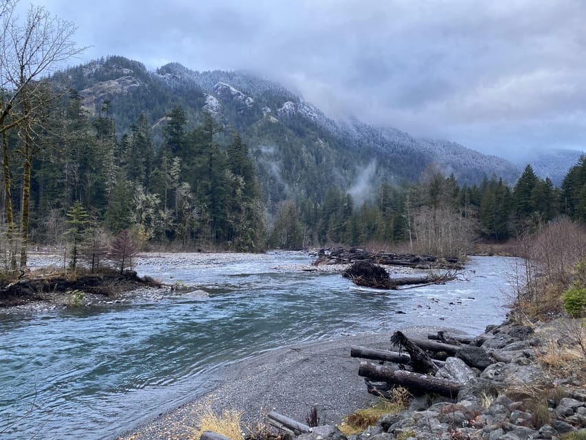 Olympic National Park: Half-Day Tour - Who should book this Olympic National Park outing?